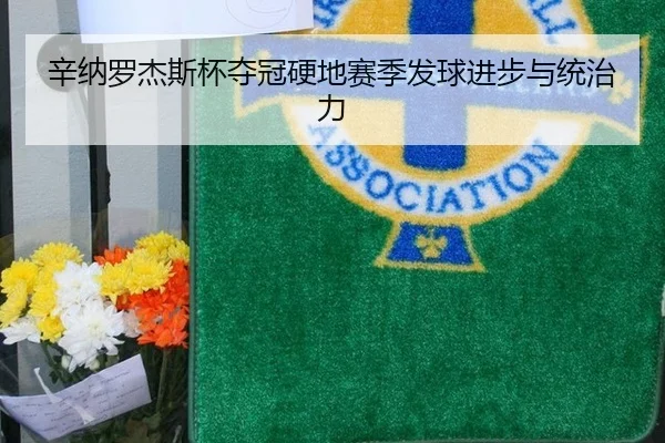 辛纳罗杰斯杯夺冠硬地赛季发球进步与统治力
